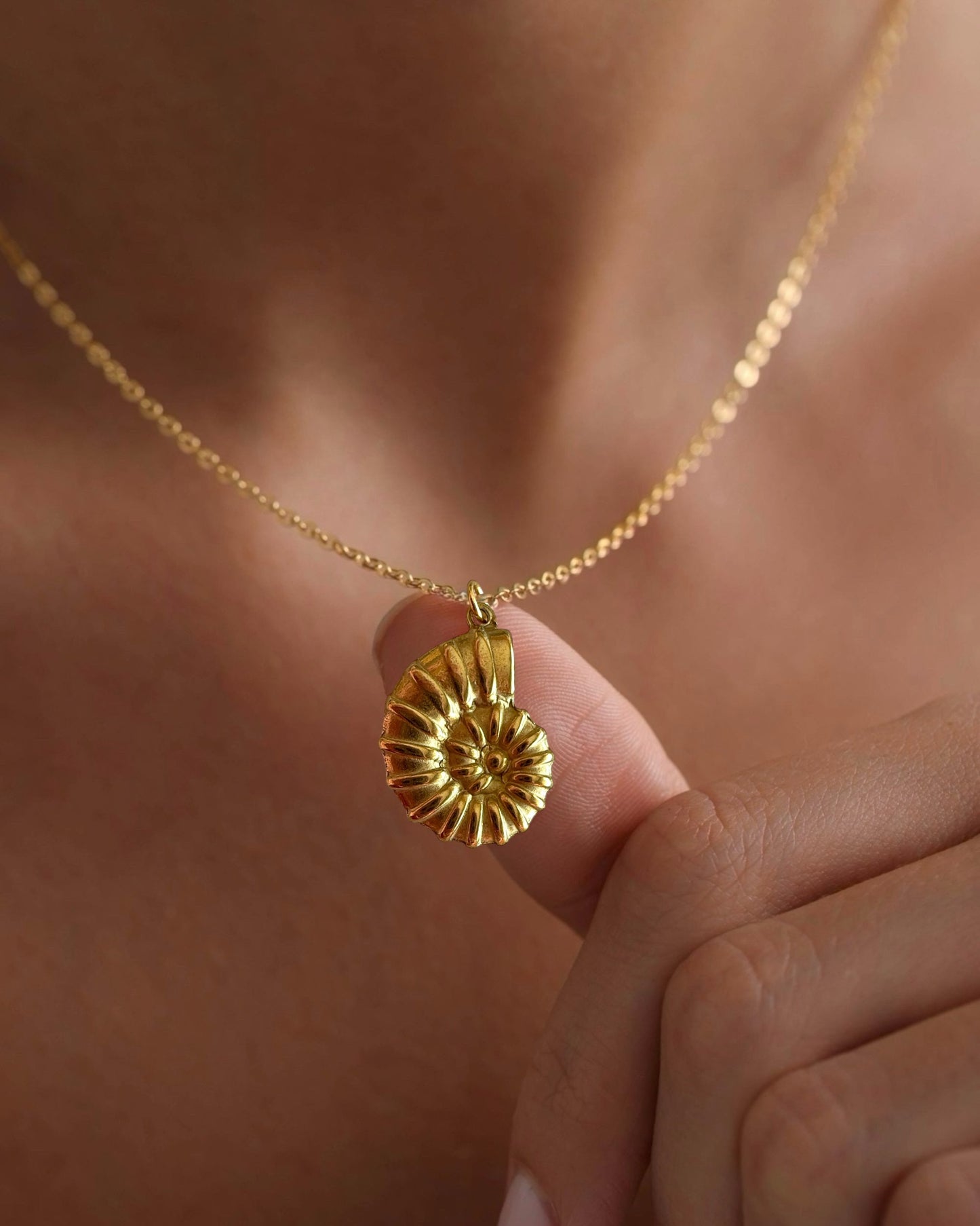 Collar cadenita simple con colgante en forma de concha marina con baño de oro mate 18K Nautilus