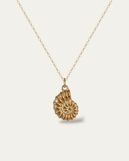 Collar cadenita simple con colgante en forma de concha marina con baño de oro mate 18K Nautilus