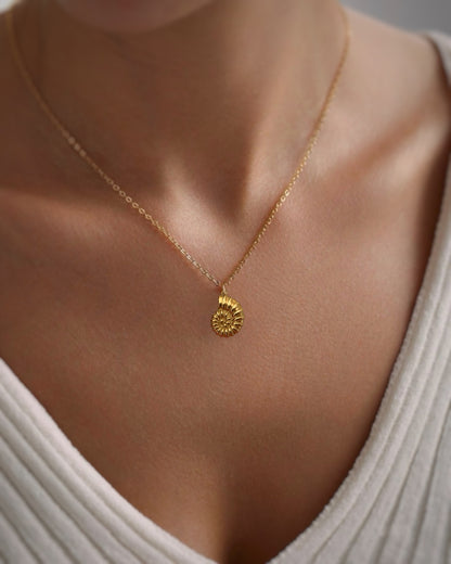 Collar cadenita simple con colgante en forma de concha marina con baño de oro mate 18K Nautilus